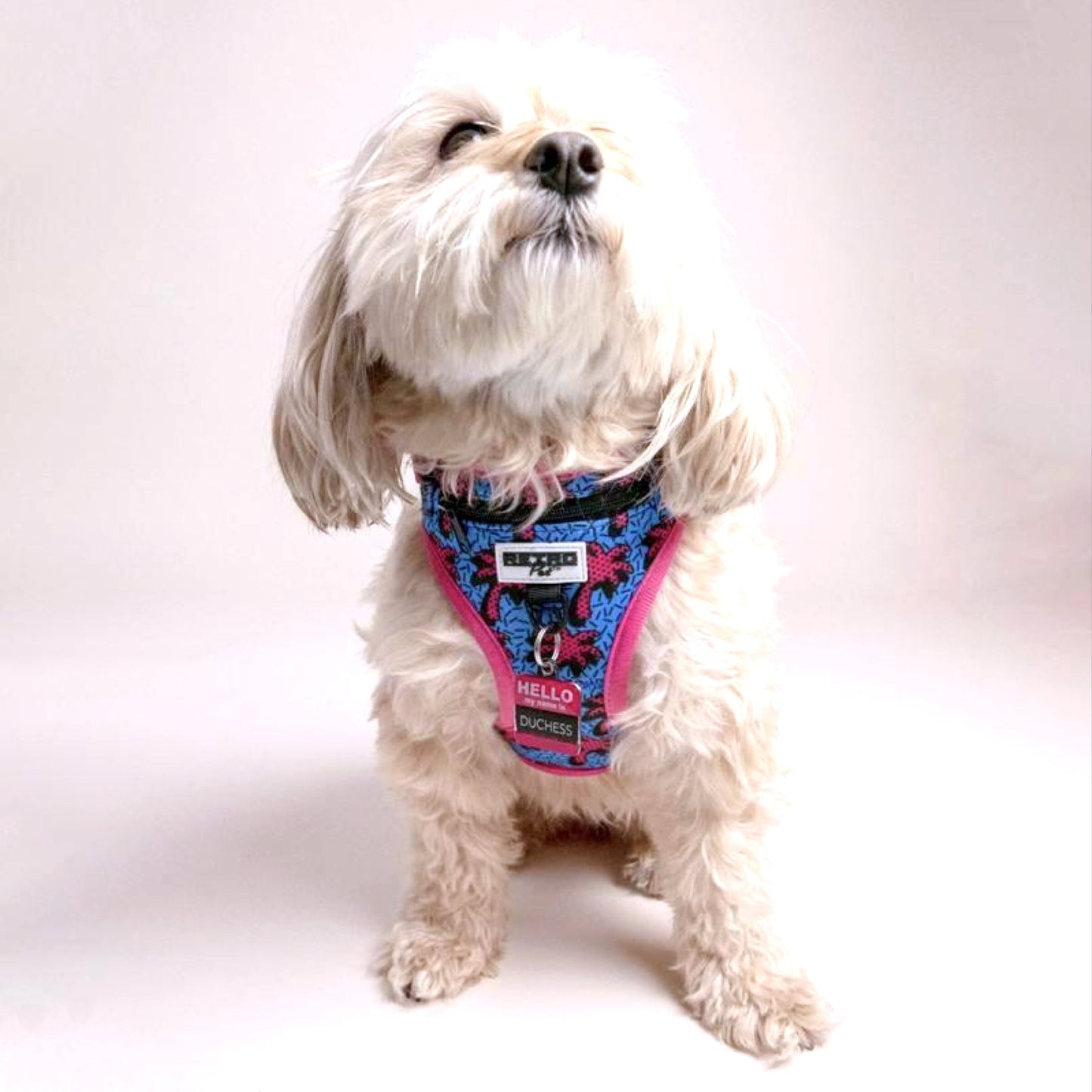 Retro Pet Dog Harness ๐ถ by Retro Pet | Mission Dispensary