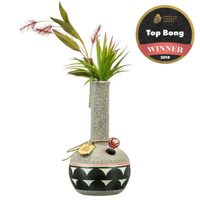 My Bud Vase "Coyōté" Water Pipe 