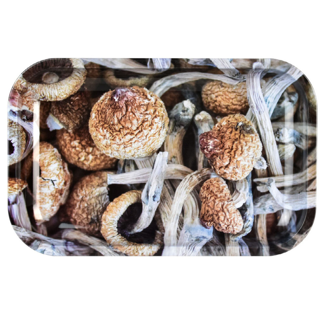 Pulsar “Shroom Collage” Metal Rolling Tray (11” x 7”) by Pulsar | Mission Dispensary